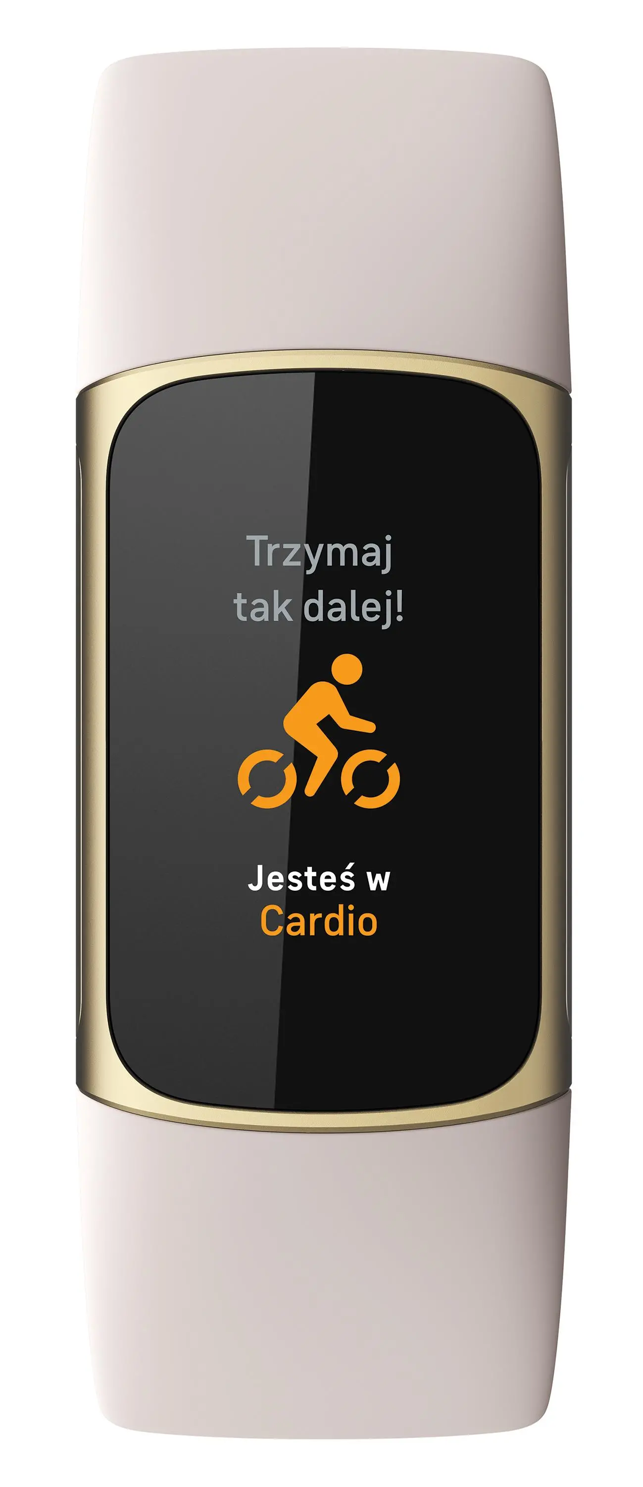 Smartband Fitbit by Google Charge 5 NFC Szaro-złoty