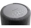 Głośnik Bluetooth Audio Pro A10 - Wi-Fi - AirPlay - 52W - ciemnoszary