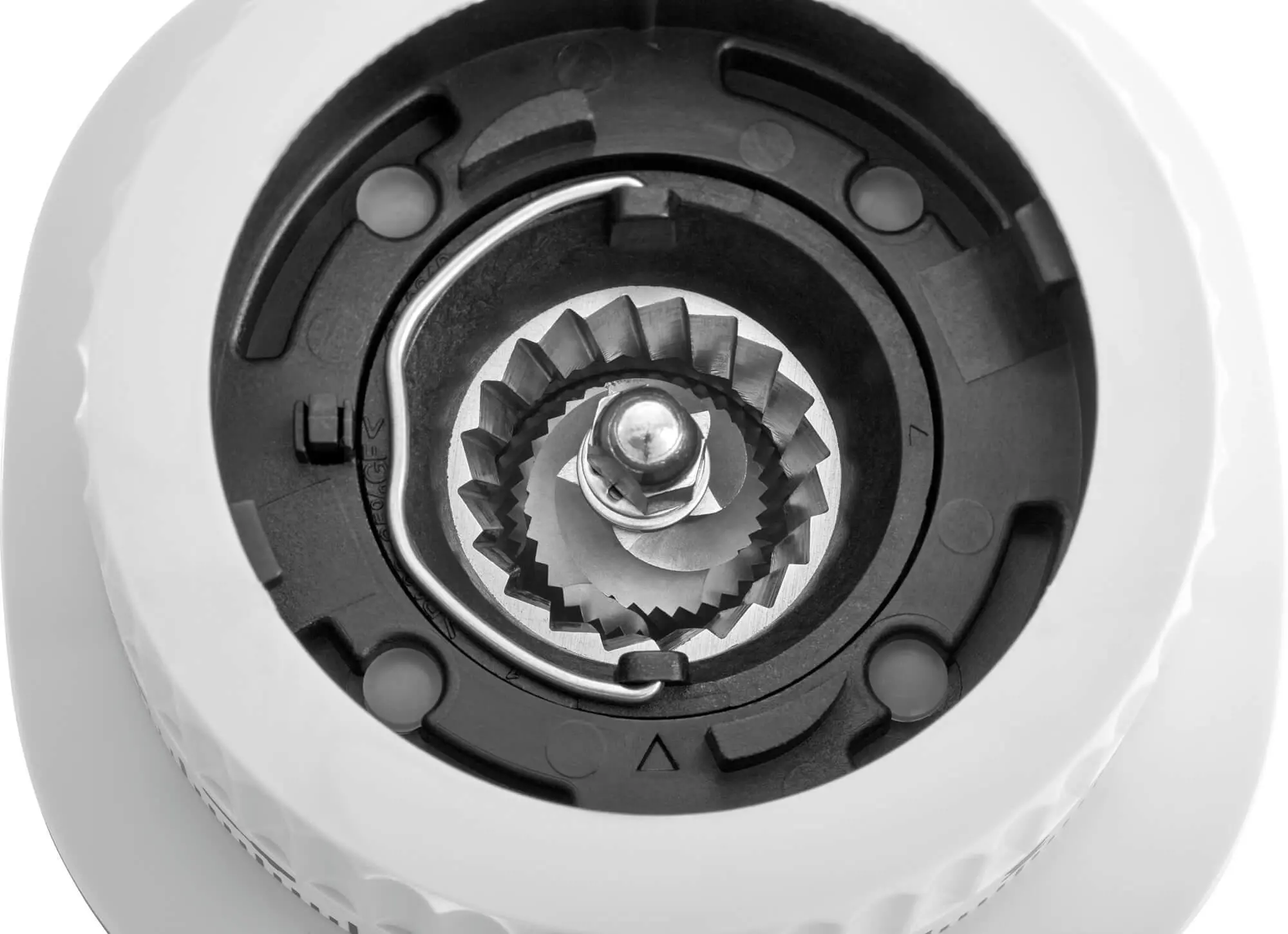 Młynek do kawy Zwilling Enfinigy 531046000 Żarnowy