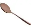 Zestaw sztućców Zwieger Vesper Coppery 24 elementy