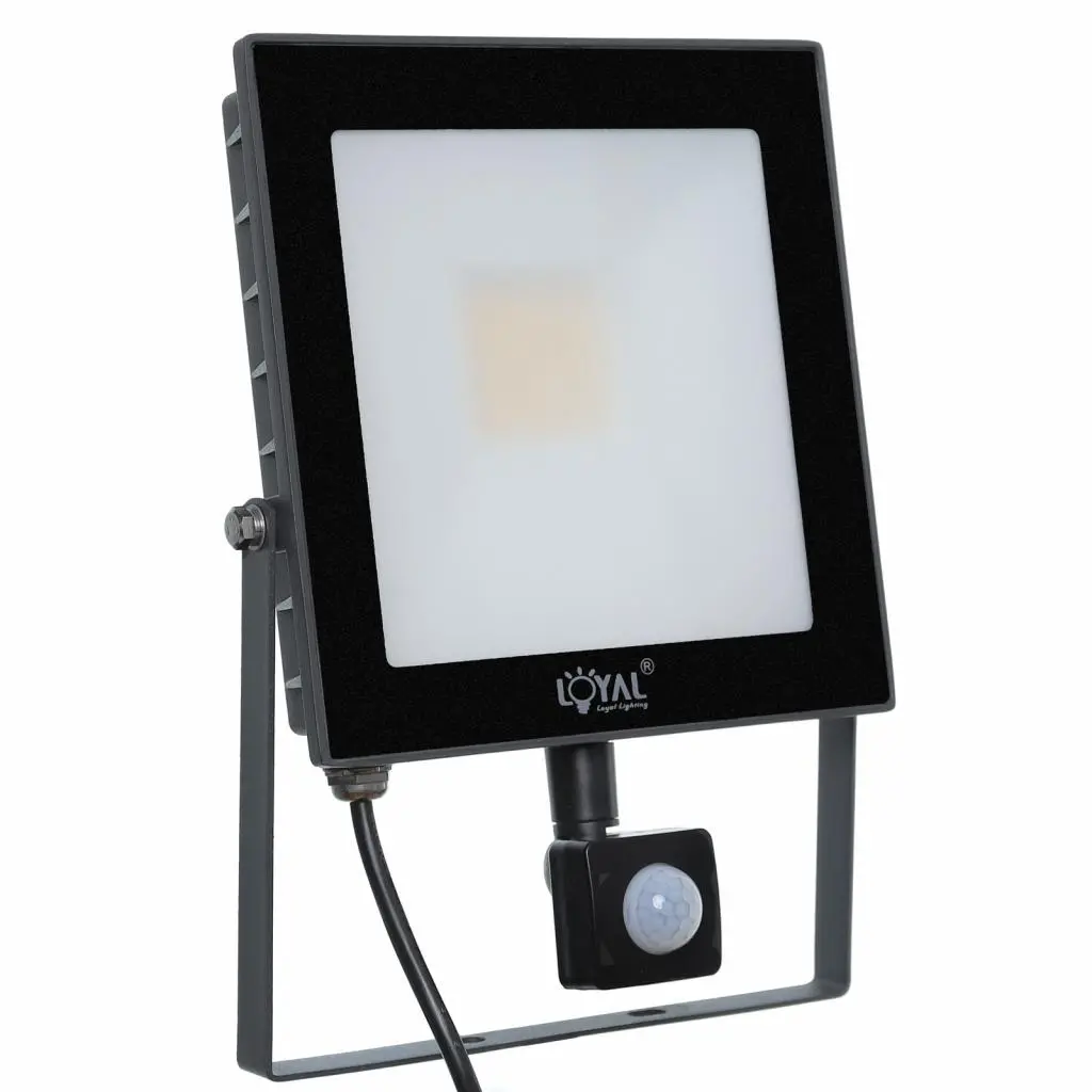 Naświetlacz Loyal Lighting LY-FLES30 (S) 4250lm