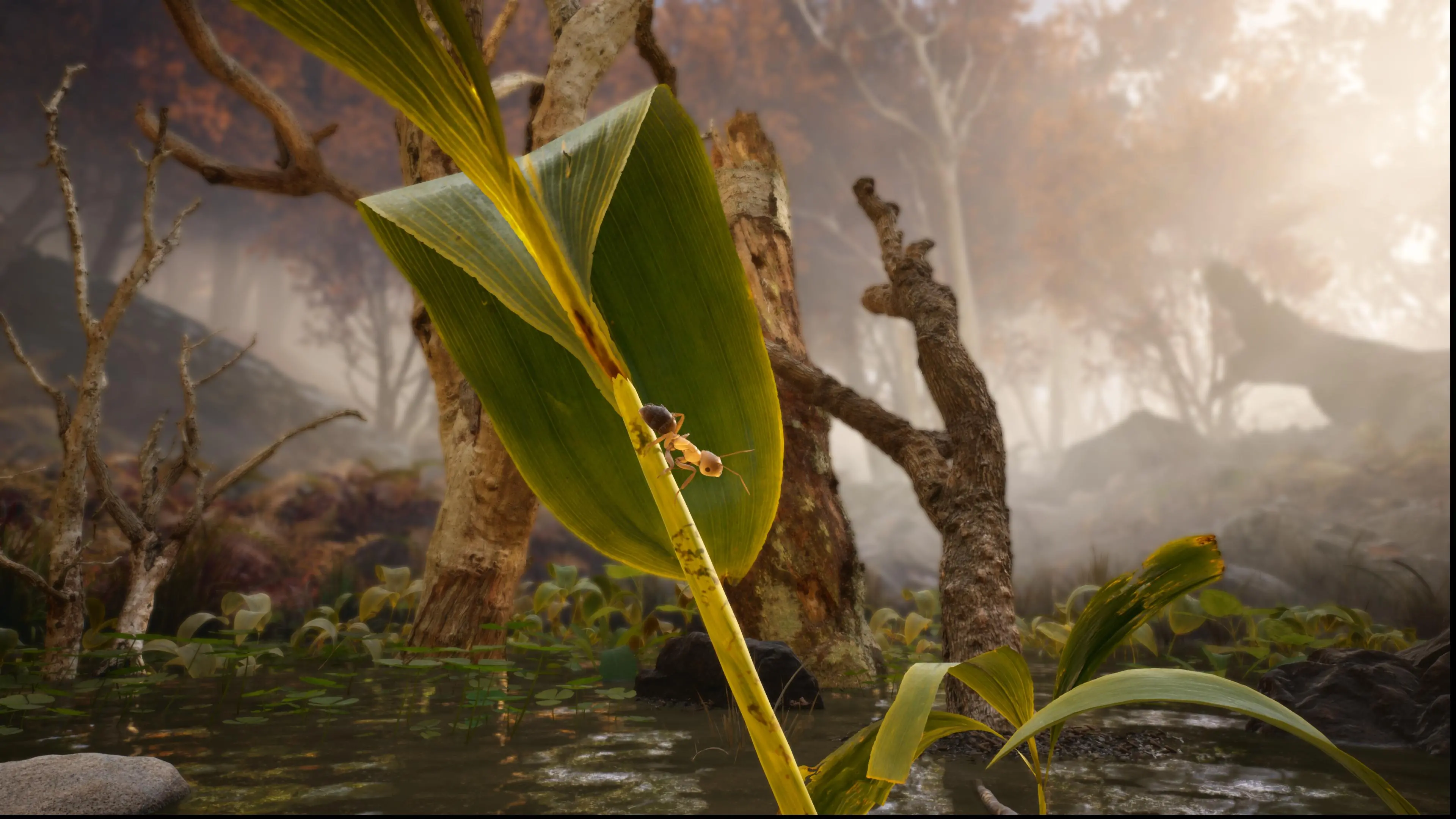 Empire of the Ants Edycja Limitowana Gra na PS5