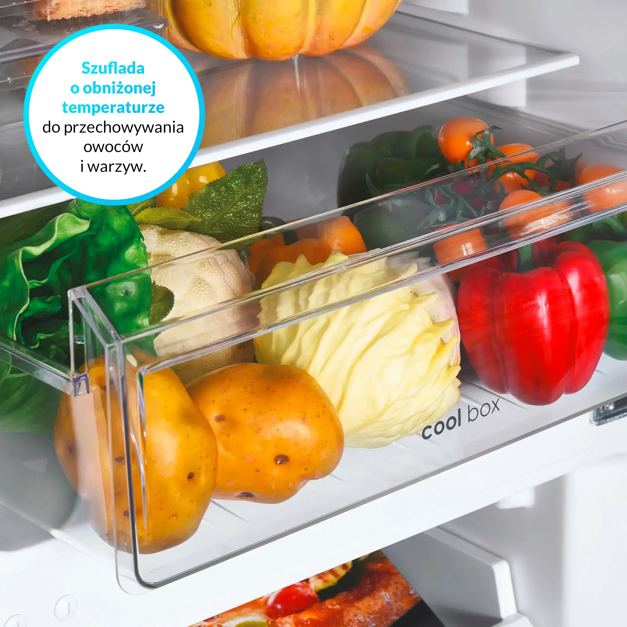 Lodówka Candy CCH1T518EX Pełny No Frost 180cm Inox