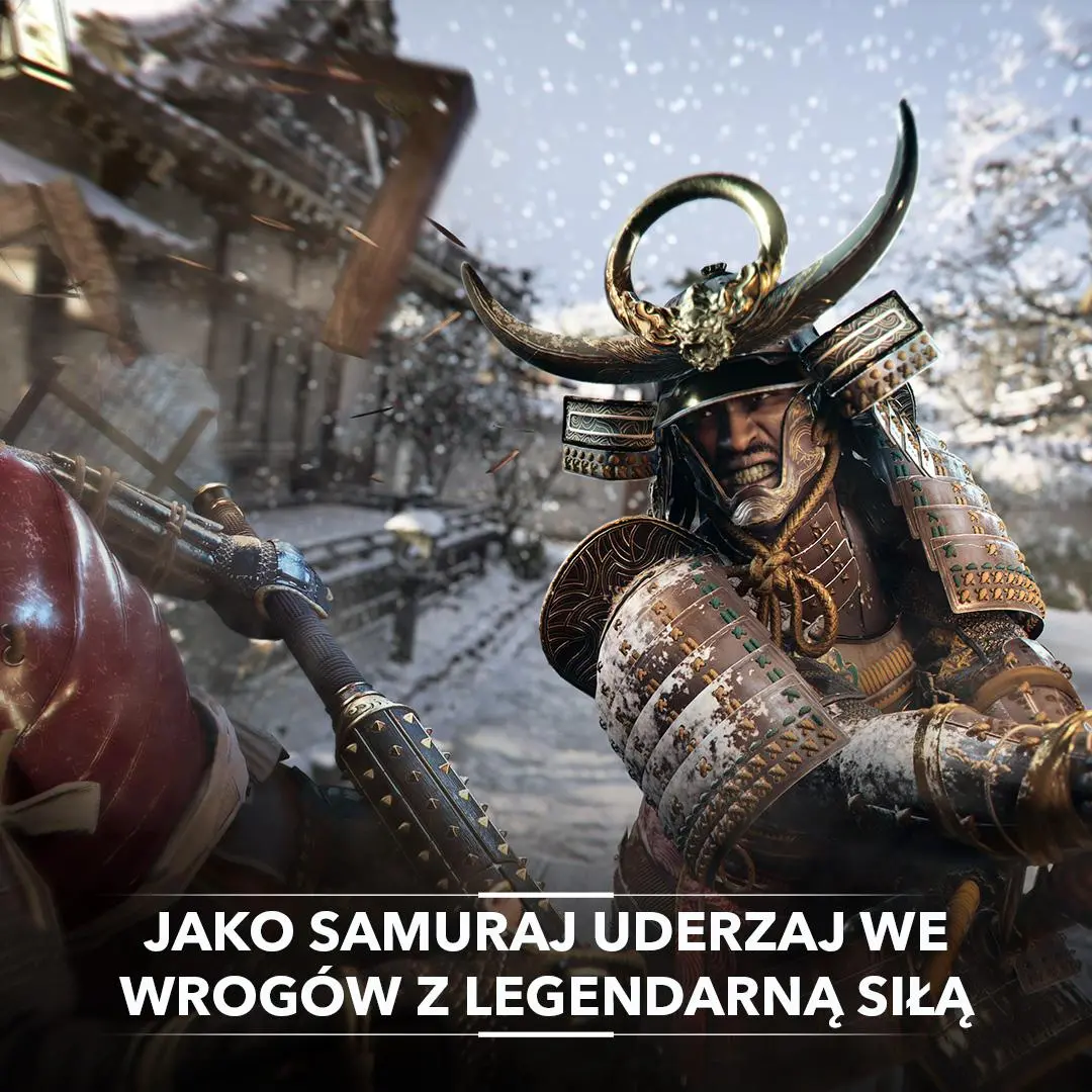 Assassin’s Creed Shadows Edycja Kolekcjonerska Gra na Xbox Series X
