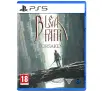 Bleak Faith Forsaken Gra na PS5