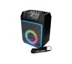 Power Audio Blaupunkt MB06.2 35W Bluetooth Radio FM Mikrofon Karaoke Czarny