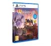 Wildermyth Gra na PS5