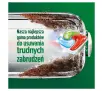 Kapsułki do zmywarki Fairy Platinum Plus All In One Fresh Herbal Breeze 71szt.
