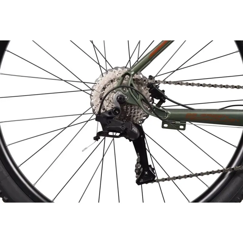 Rower elektryczny Bottecchia BE32 START EVO Zielony