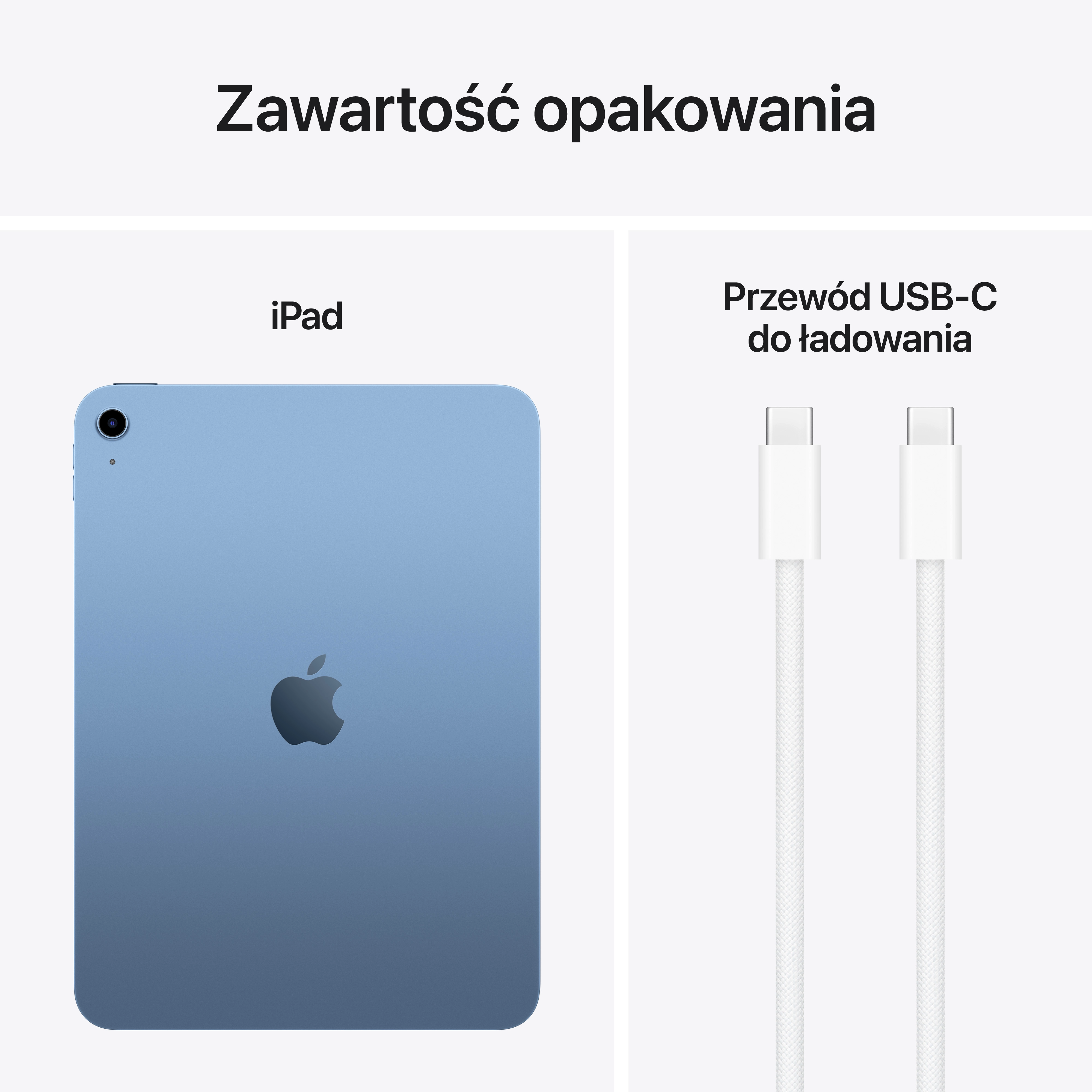 Tablet Apple iPad 11" 11 gen 256GB Wi-Fi Niebieski