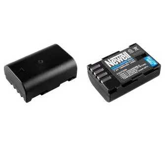 Akumulator Newell DMW-BLF19E