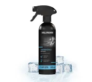 HILLMANN HASOS500 Odmrażacz do szyb 500ml