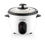 Hyundai RC100 365W 1l