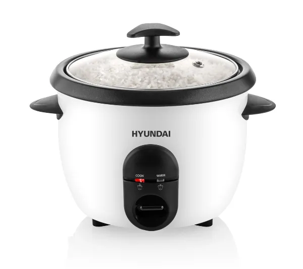 Hyundai RC100 365W 1l