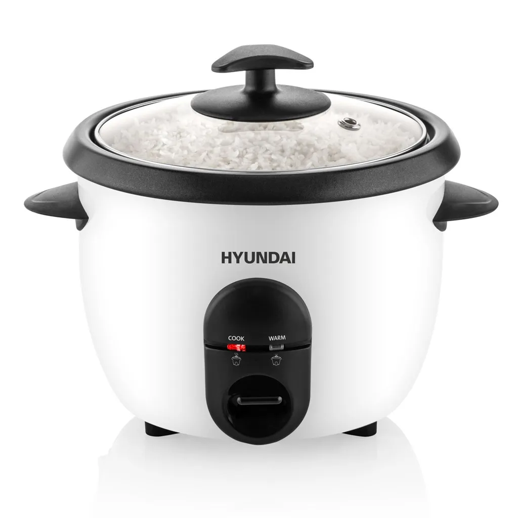 Hyundai RC100 365W 1l