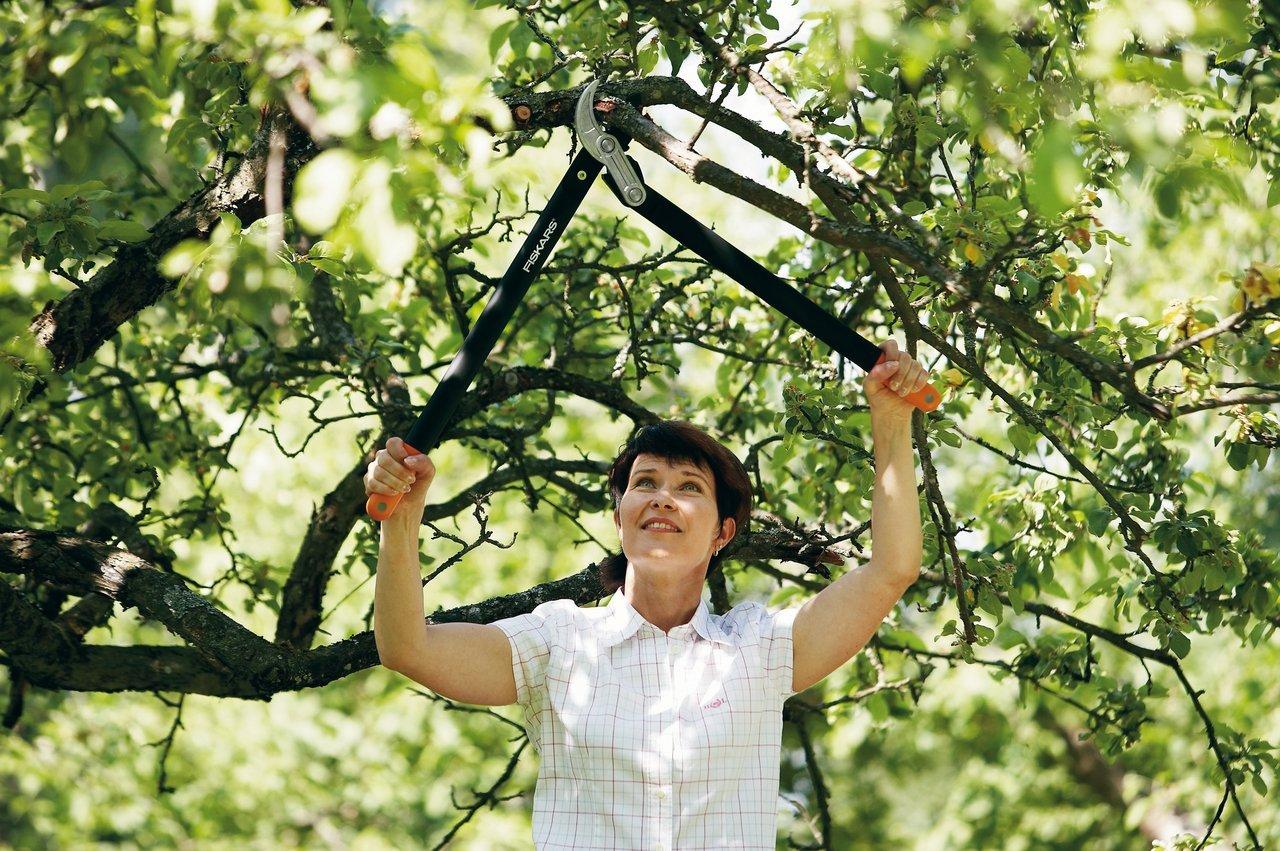 Fiskars L77
