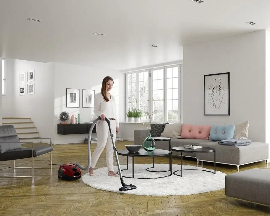 Odkurzacz Electrolux EPF6ANIMAL 700W Mini turboszczotka Szczotka do sierści zwierząt