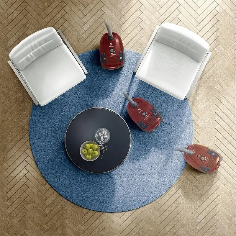 Odkurzacz Electrolux EPF6ANIMAL 700W Mini turboszczotka Szczotka do sierści zwierząt