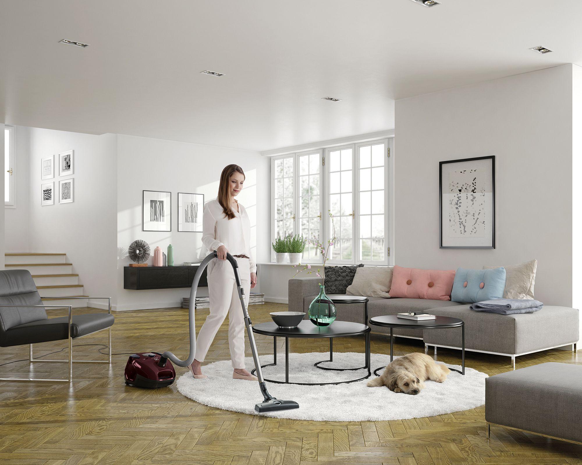 Odkurzacz Electrolux SilentPerformer ESP75BD 550W Turboszczotka Szczotka do parkietów