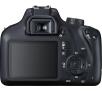 Lustrzanka Canon EOS 4000D + EF-S 18-55mm f/3.5-5.6 IS II + EF 75-300mm f/4–5.6 III