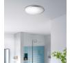 Philips Guppy ceiling lamp grey 1x17W SELV 34347/87/P0