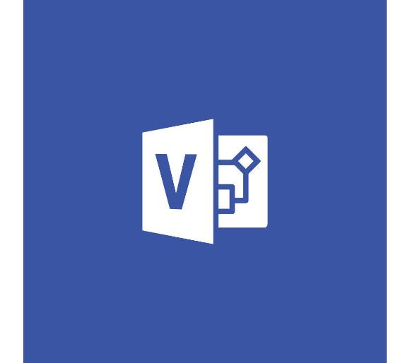 oprogramowanie Microsoft Visio Professional 2019 D87-07425 (kod)