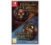Baldur's Gate Enhanced Edition  Nintendo Switch