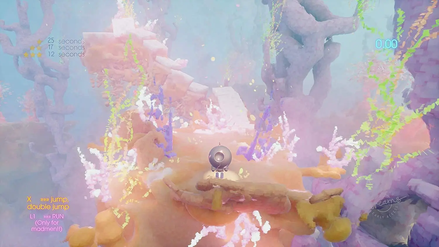 Dreams Gra na PS4 (Kompatybilna z PS5)