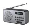 Radioodbiornik Thomson RT225DAB Radio FM DAB+ Srebrny