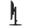 Monitor Eizo FlexScan EV2460 24" Full HD IPS 60Hz 5ms