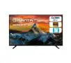 Telewizor Manta 40LFN120TP 40" LED Full HD 60Hz DVB-T2