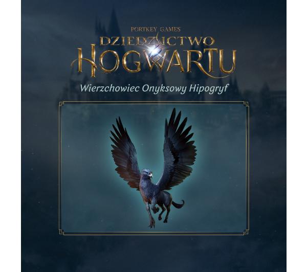 Dziedzictwo Hogwartu: Cyfrowa edycja deluxe