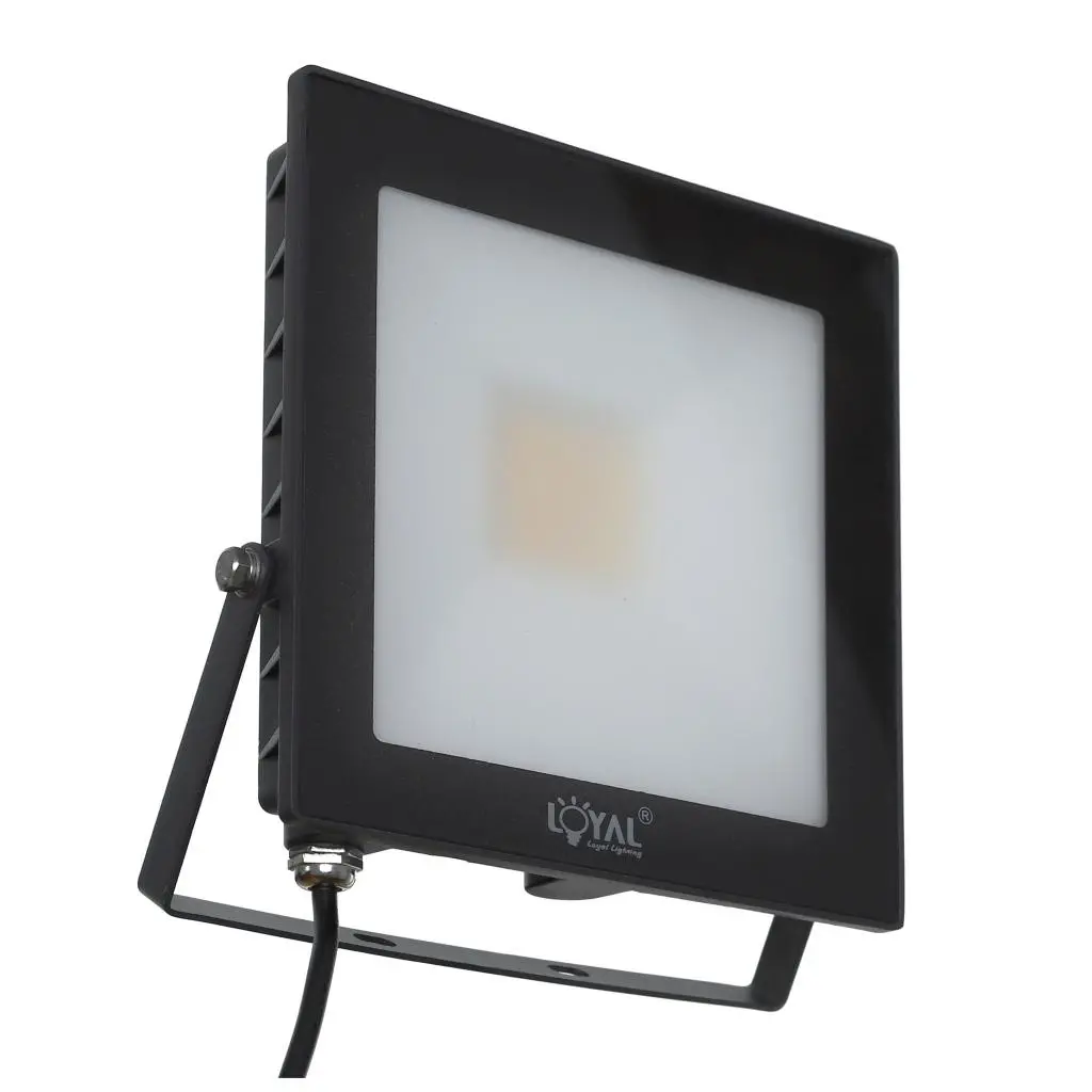 Naświetlacz Loyal Lighting LY-FLE30 4250lm