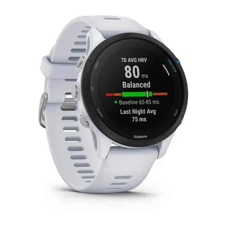 Smartwatch Garmin Forerunner 255 Music 45mm GPS Szary