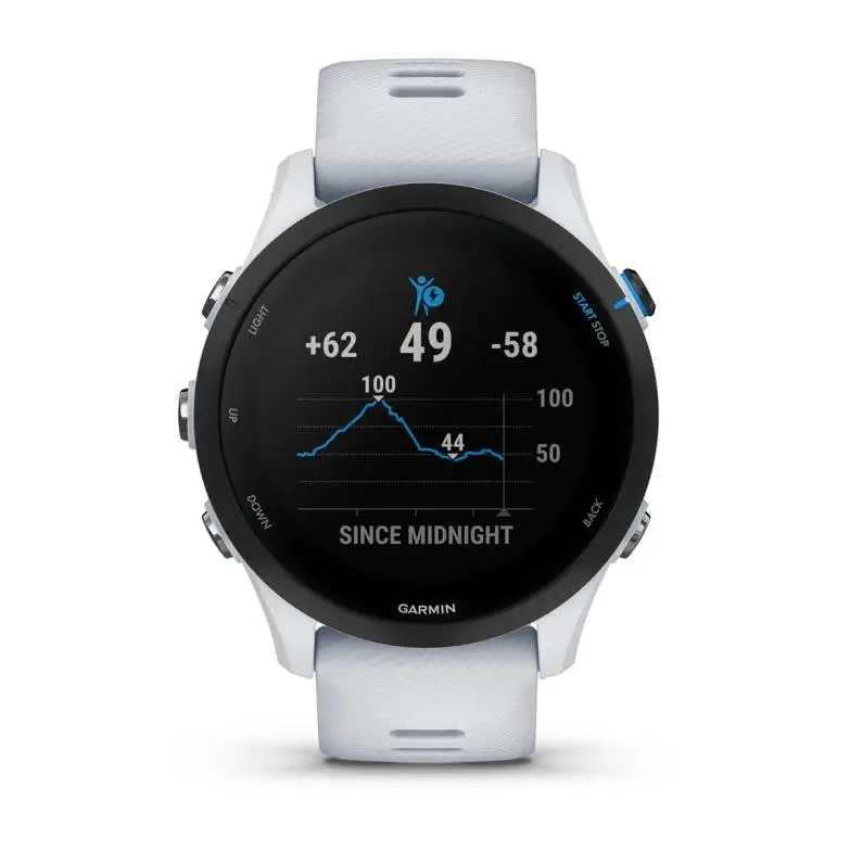 Smartwatch Garmin Forerunner 255 Music 45mm GPS Szary