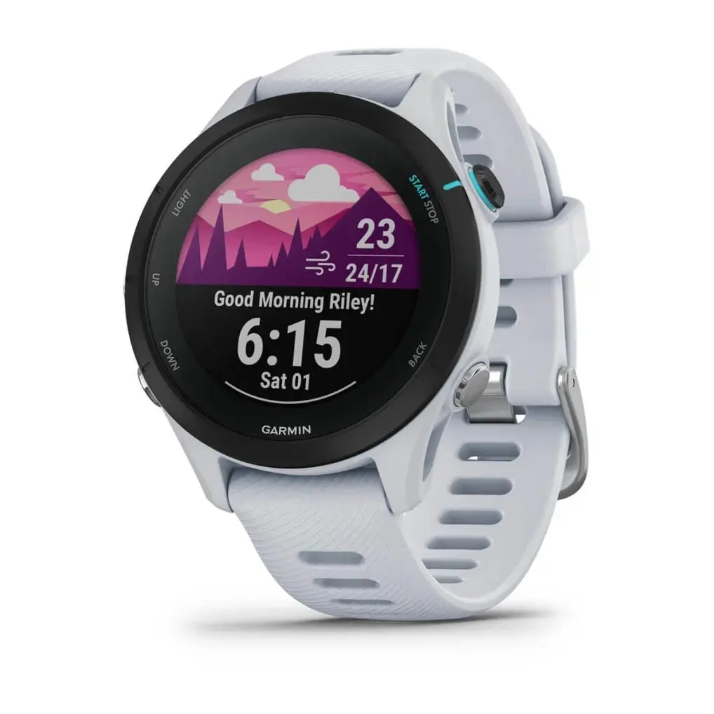 Garmin Forerunner 255S Music 41mm GPS Szary