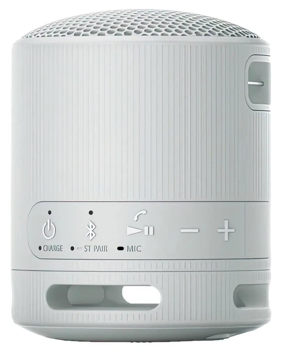 Głośnik Bluetooth Sony SRS-XB100 5W Szary