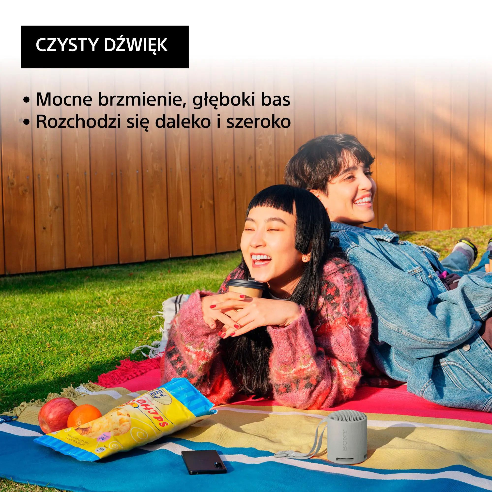 Głośnik Bluetooth Sony SRS-XB100 5W Szary