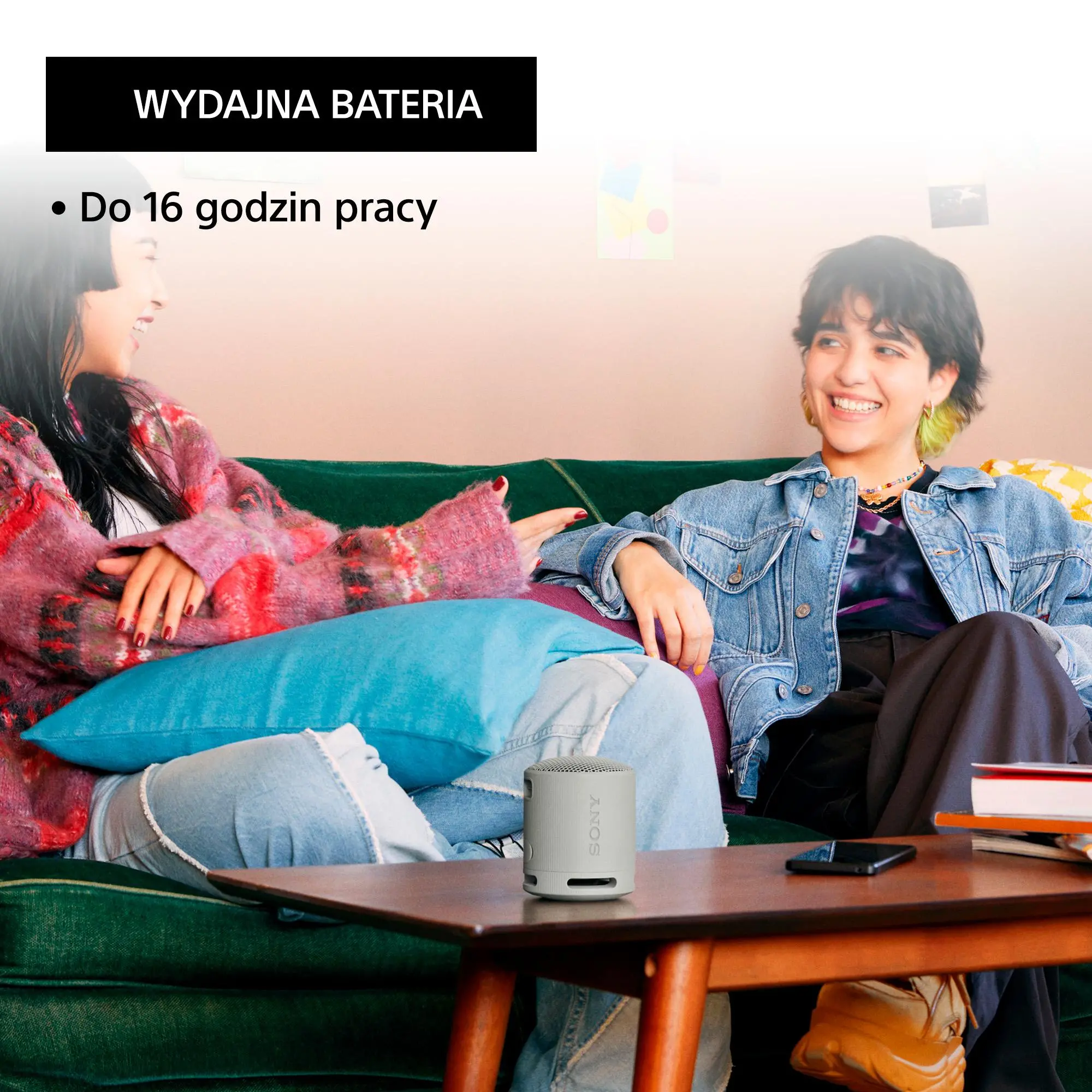 Głośnik Bluetooth Sony SRS-XB100 5W Szary
