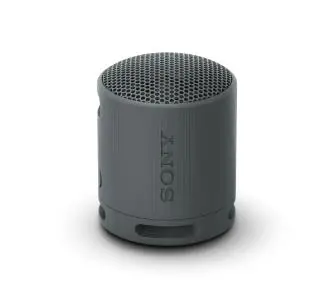 Głośnik Bluetooth Sony SRS-XB100 5W Czarny