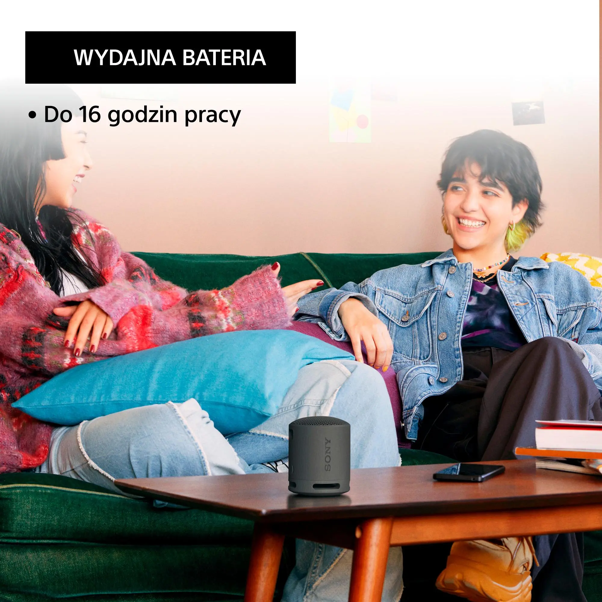 Głośnik Bluetooth Sony SRS-XB100 5W Czarny