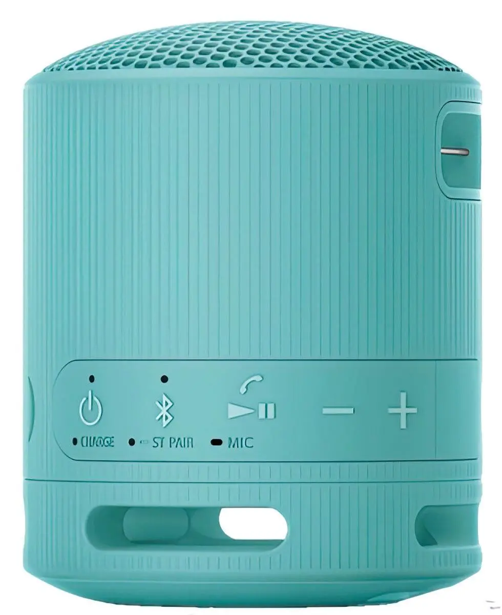 Głośnik Bluetooth Sony SRS-XB100 5W Niebieski
