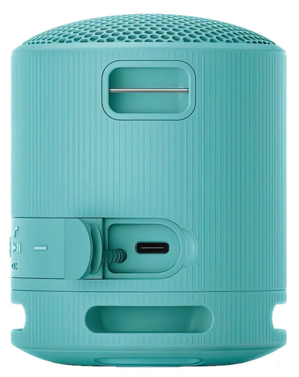Głośnik Bluetooth Sony SRS-XB100 5W Niebieski