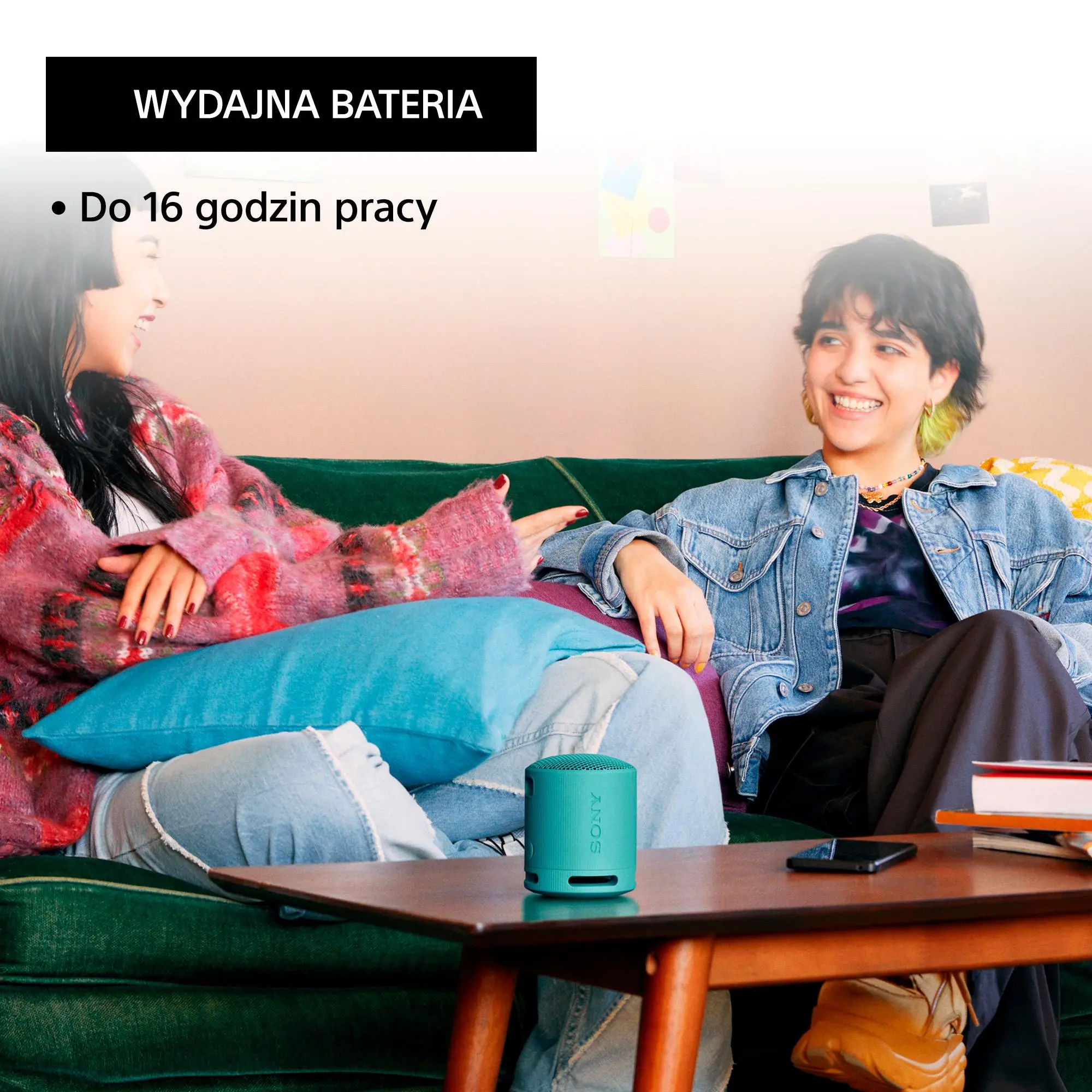 Głośnik Bluetooth Sony SRS-XB100 5W Niebieski