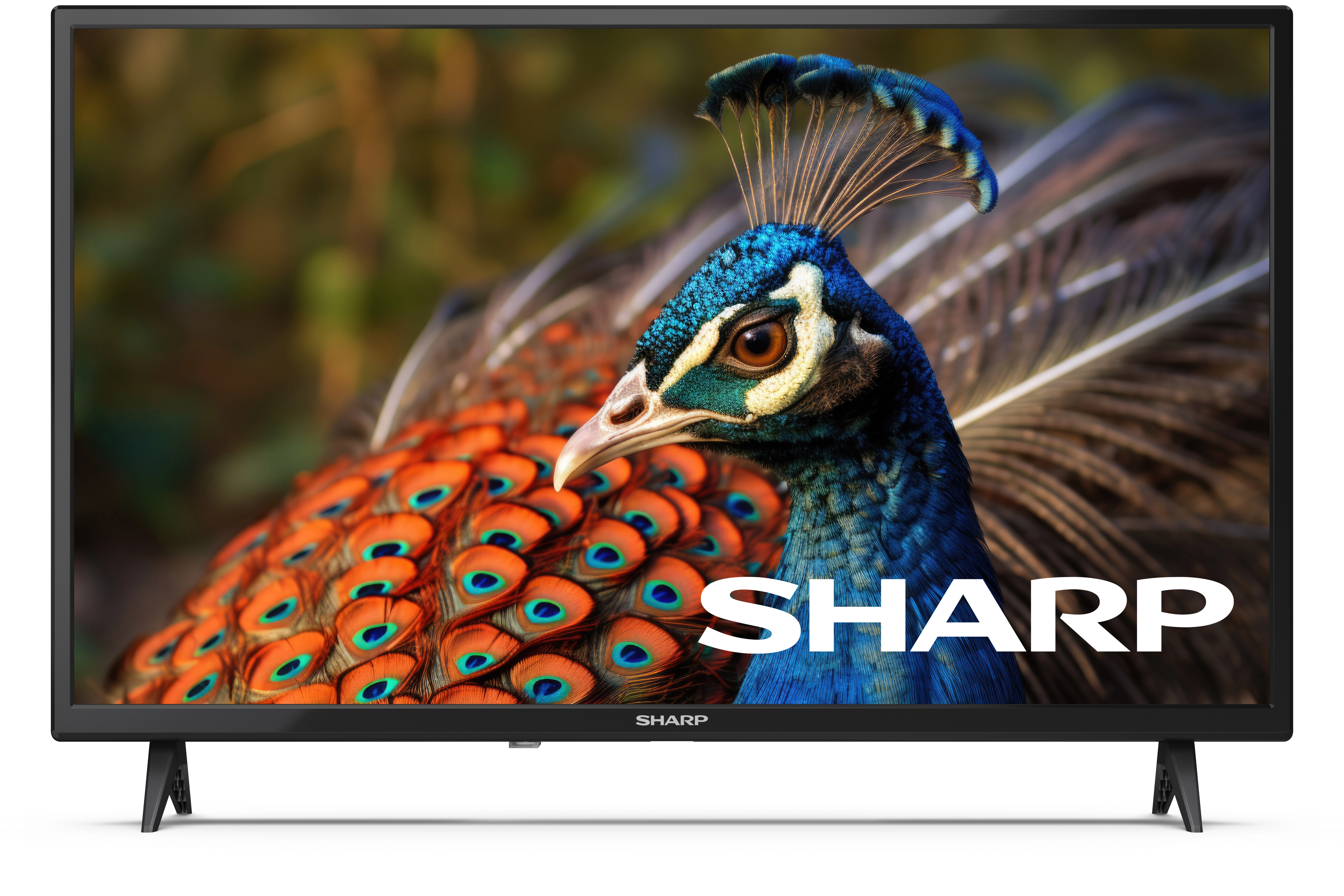 Telewizor Sharp 32FA4E  32" LED HD Ready 60Hz DVB-T2