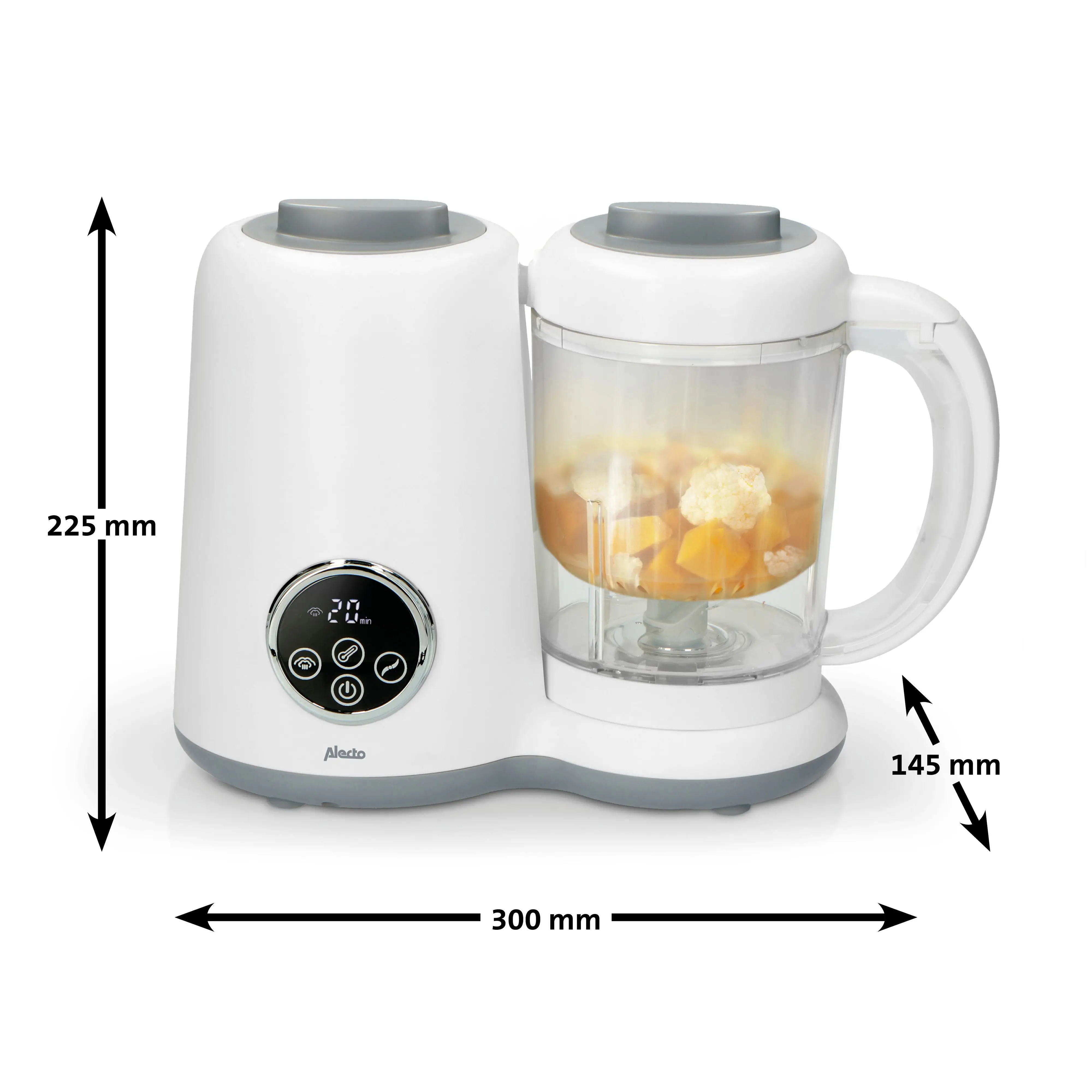 Blender kielichowy Alecto BFP-66