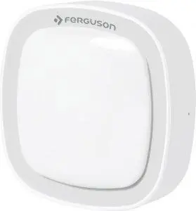 Czujnik ruchu Ferguson FS1MS