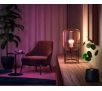Żarówka LED Philips Hue White and Color Ambiance E27 800lm 3szt.