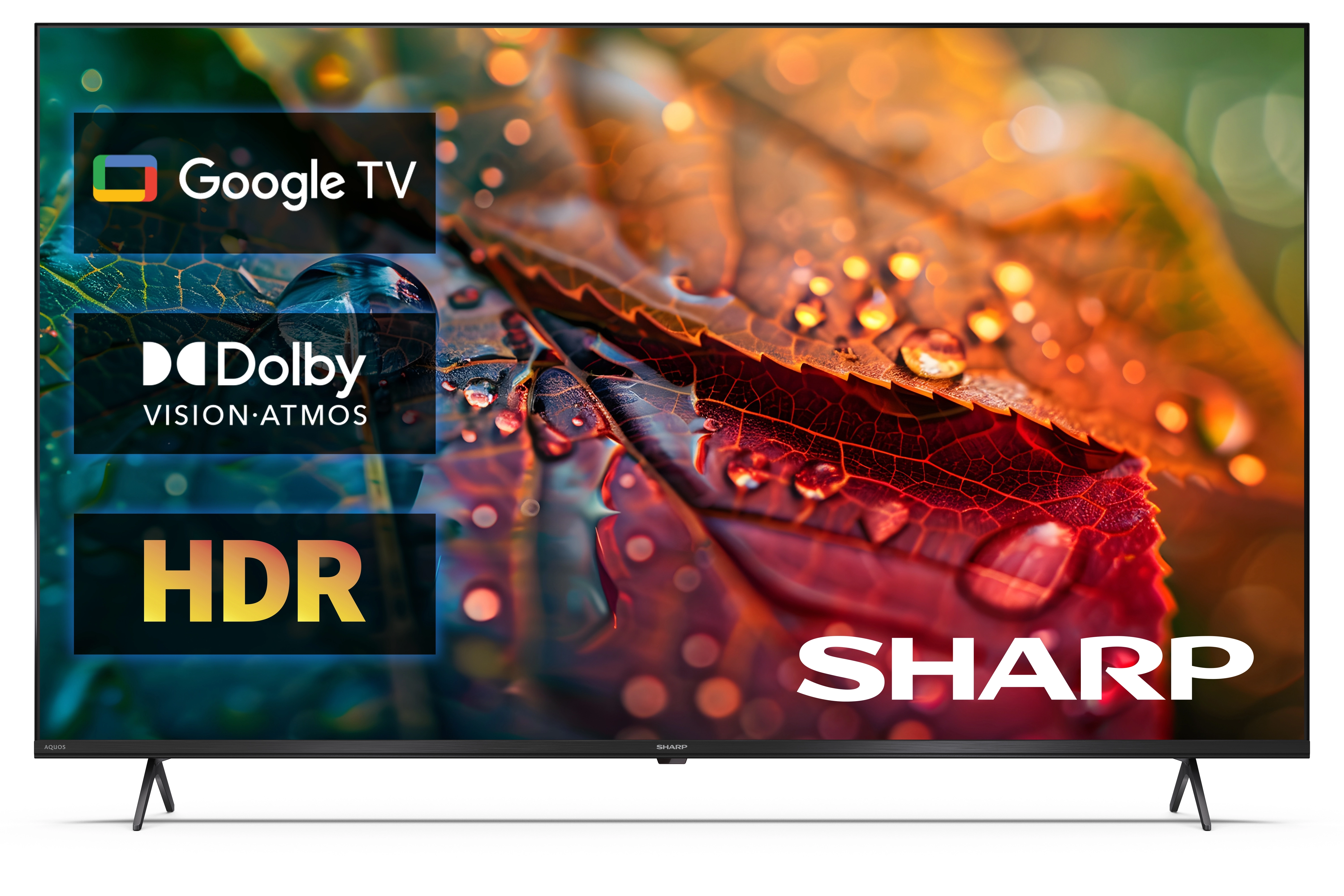 Telewizor Sharp 50HL4765E 50" LED 4K GoogleTV Dolby Vision Dolby Atmos HDMI 2.1 DVB-T2
