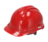 Dedra BH1091